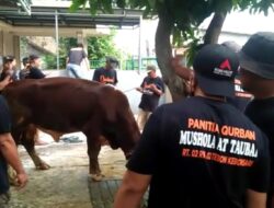 Semarak Warga NU Kebonsari Melaksanakan Qurban 1444 H / 2023 M
